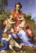 Andrea del Sarto, charity